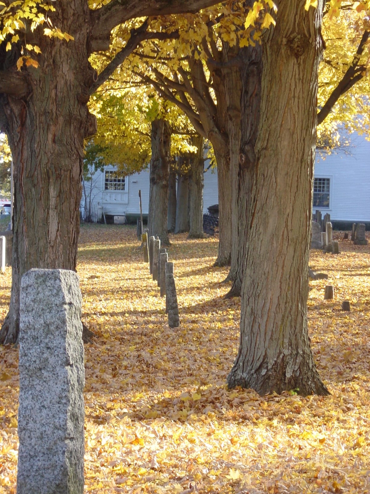 Historic Vermont cemetery beneath golden autumn trees
