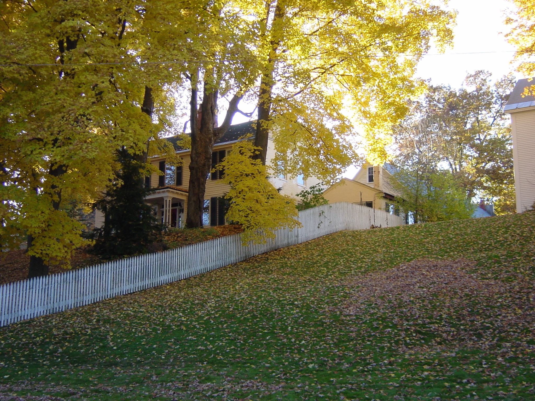Vermont neighborhood with golden autumn foliage and a white picket fence