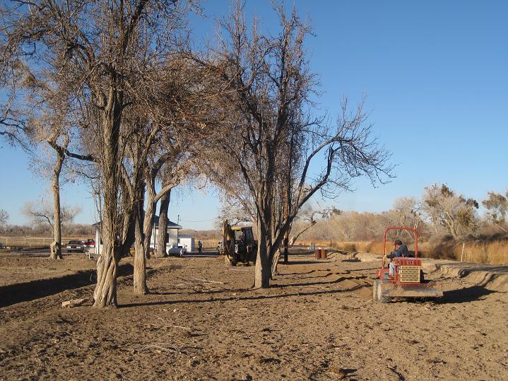 Pear Orchard Restoration — 8 New Trees, Mar 1 2011