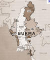 Burma Brown